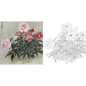 工笔花鸟白描底稿-王庆升《带露迎霞》斗方小品册页-多种白描尺寸可选-QB02