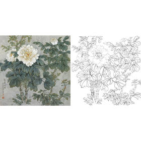 工笔花鸟白描底稿-牡丹-王庆升《雨露凝香》斗方小品册页-多种白描尺寸可选-QB16