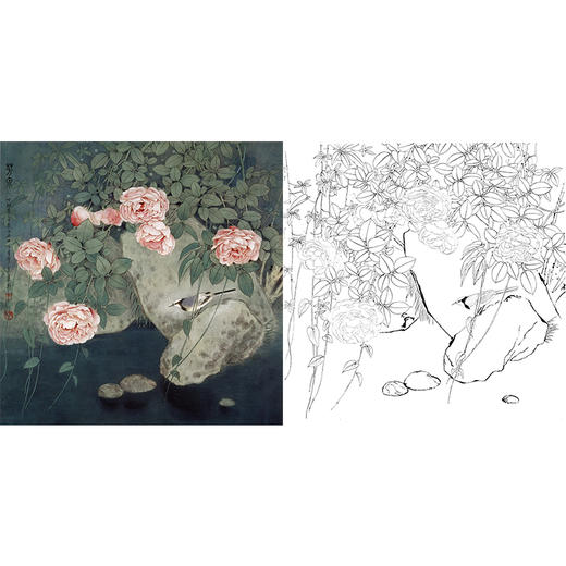 工笔花鸟白描底稿玫瑰王庆升芳泉斗方小品册页多种白描尺寸可选qb04