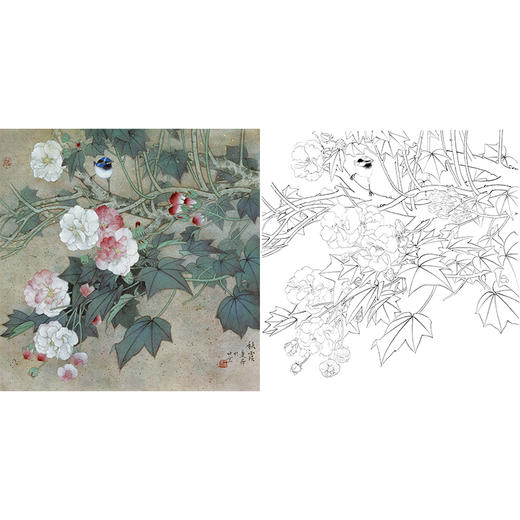 工笔花鸟白描底稿-王庆升《秋霞》斗方小品册页-多种白描尺寸可选-QB11 商品图0