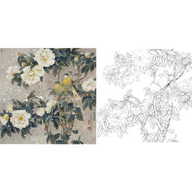 工笔花鸟白描底稿-山茶花-王庆升《冷艳凌霜》斗方小品册页-多种白描尺寸可选-QB07