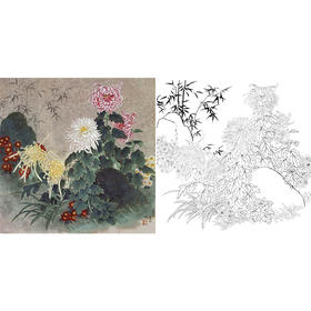 工笔花鸟白描底稿-菊花-王庆升《凌霜》-斗方小品册页-多种白描尺寸可选-QB08