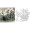 工笔花鸟白描底稿-王庆升百合花-斗方小品册页-QB01 商品缩略图0