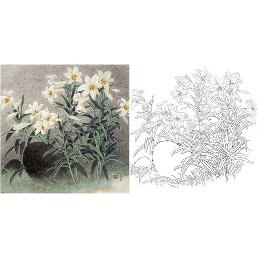 工笔花鸟白描底稿-王庆升百合花-斗方小品册页-QB01 商品图0