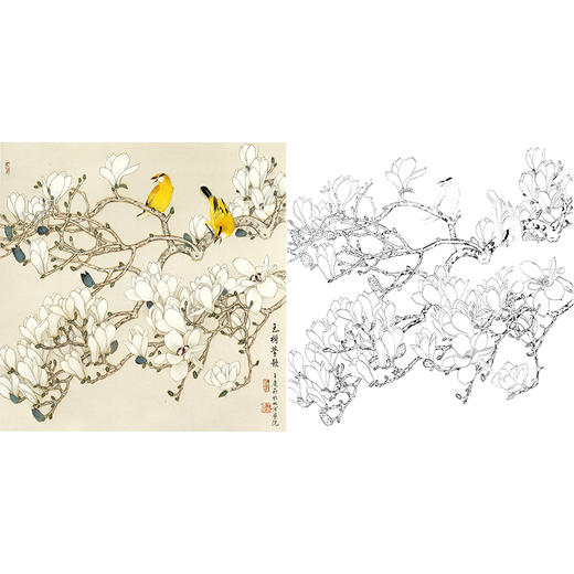 工笔花鸟白描底稿-玉兰-王庆升《玉树莺歌》斗方小品册页-多种白描尺寸可选-QB10 商品图0