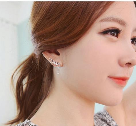 明星同款 时尚耳饰 商品图1