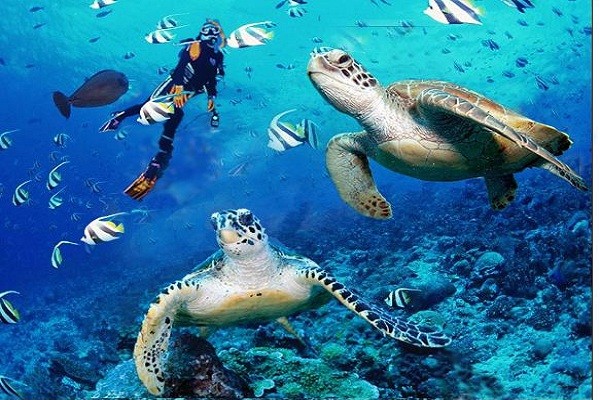 2月特惠郑州沙巴仙本娜旅行计划往返10天