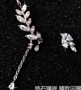 明星同款 时尚耳饰