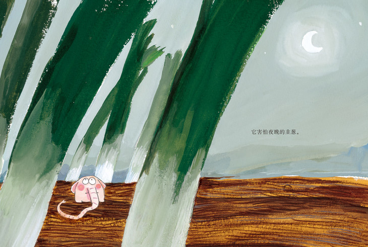 《花园小象波米诺》