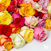 WOW玫瑰系列 | 5月13日 5月15日首次收花。肯尼亚进口玫瑰，热情之花，7-9枝/束，2束或4束任选 商品缩略图2