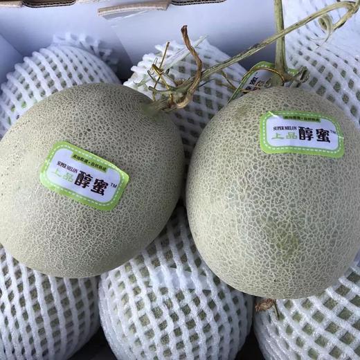 「水果优选」醇蜜蜜瓜