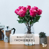 WOW玫瑰系列 | 5月13日 5月15日首次收花。肯尼亚进口玫瑰，热情之花，7-9枝/束，2束或4束任选 商品缩略图0