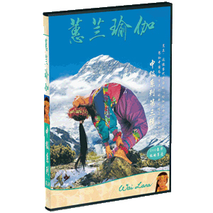 蕙兰瑜伽正版 中级系列第三辑DVD 提升气质
