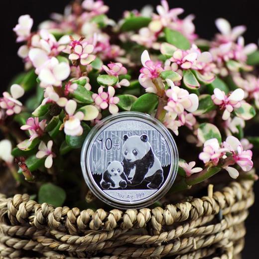 河南中钱 中国金币 2012年1盎司熊猫银币 熊猫纪念币 商品图0