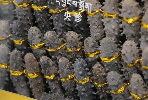 80-100头（大连珍品海参散装）-央珍海参 商品图1