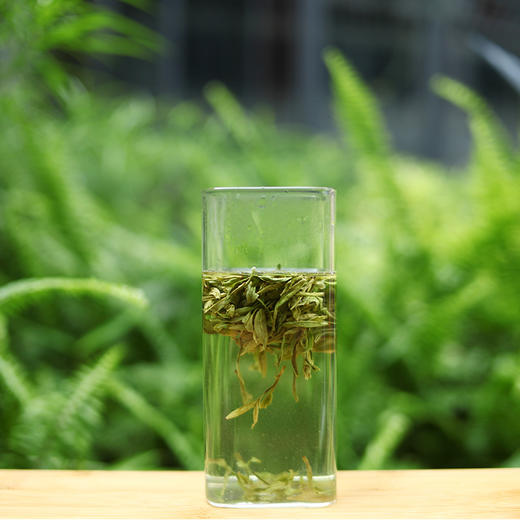 百鸟峥茗丨大佛龙井 雨前特级  250g 2025年新茶 商品图3