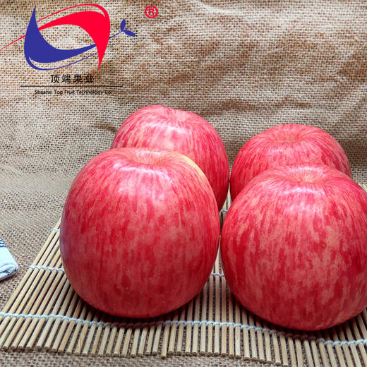 【洛川红富士苹果】彩箱普装 陕西特产洛川红富士苹果水果新鲜24枚80mm整箱12斤通货果 商品图5