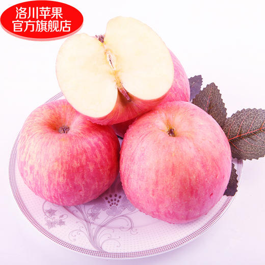 【洛川通货果】陕西洛川苹果水果新鲜12枚礼盒装延安洛川红富士苹果 商品图2