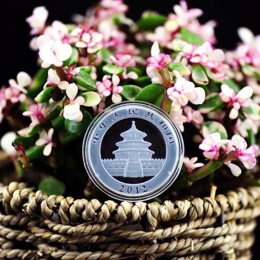 河南中钱 中国金币 2012年1盎司熊猫银币 熊猫纪念币 商品图1
