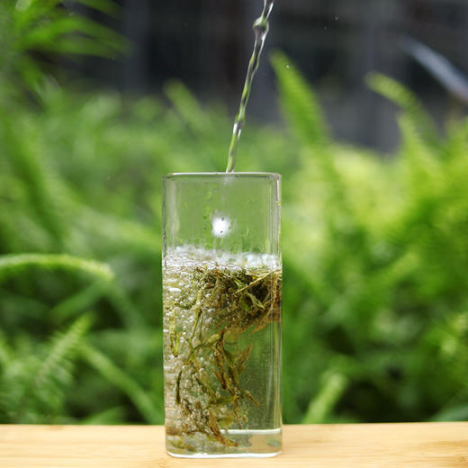 百鸟峥茗丨大佛龙井 雨前特级  250g 2025年新茶 商品图2
