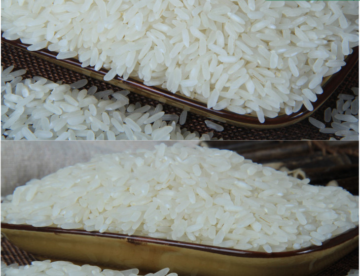 纯502香米香软可口畅销品种大米