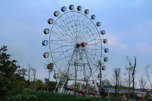 【蜀国鹃都】29元看成都绝美杜鹃花海!还有更多好玩的!就等你来