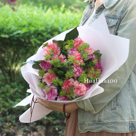 温暖怀抱b款丨18朵混合康乃馨花束