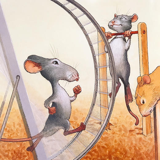 老鼠宇航员第一次上天空