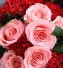 康乃馨玫瑰花束 同城配送 商品缩略图4