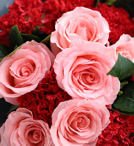 康乃馨玫瑰花束 同城配送 商品图4