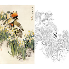 竖幅工笔花鸟白描底稿-鸳鸯-王庆升《临水相依》-多种白描尺寸可选-QB29