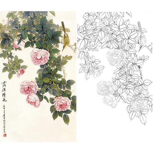 竖幅工笔花鸟白描底稿-王庆升《露湿晴花》-多种白描尺寸可选-QB30 商品图0