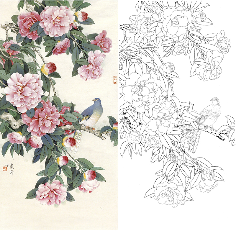 竖幅工笔花鸟白描底稿-王庆升-山茶花斑鸠-QB27