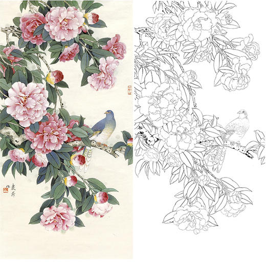 竖幅工笔花鸟白描底稿-王庆升-山茶花斑鸠-QB27 商品图0