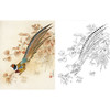 工笔花鸟白描底稿-锦鸡-王庆升《环颈雉》斗方小品册页-多种白描尺寸可选-QB21 商品缩略图0
