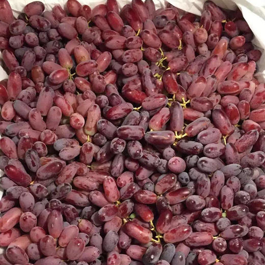 新品:澳洲金手指红提 19斤装/件