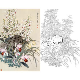竖幅工笔花鸟白描底稿-王庆升《幽香四溢》-多种白描尺寸可选-QB31