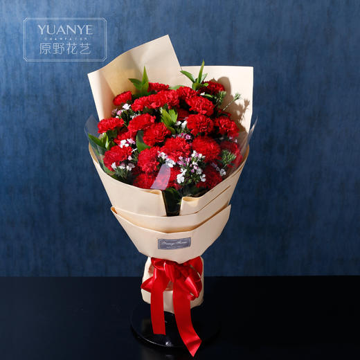 26朵红色康乃馨花束 商品图0