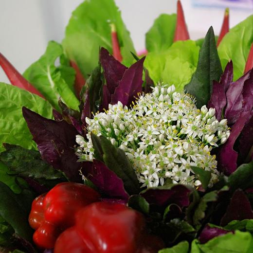 农园活动 | 为母亲献上一束有机花 商品图2