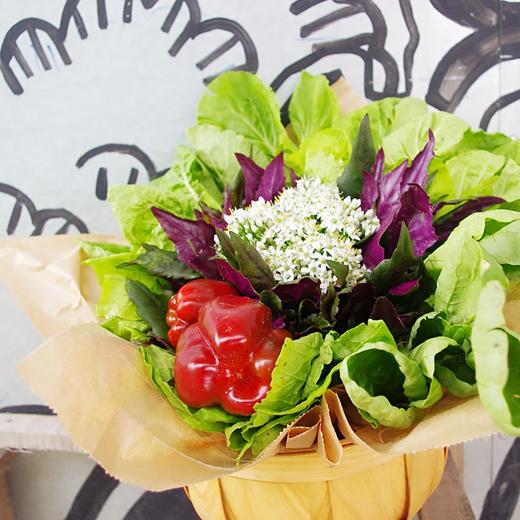 农园活动 | 为母亲献上一束有机花 商品图1