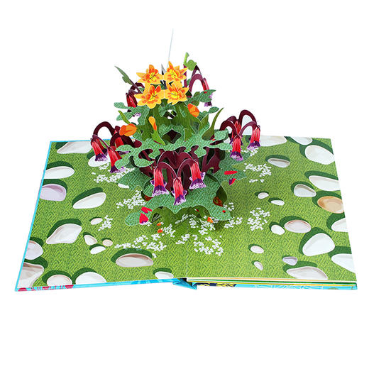 纸上生花，高端文艺礼品书，乐乐趣绘本立体书-花·愿　适度年龄：3＋　原价：198元 商品图2