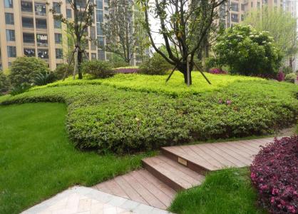 知名物业公司园林绿化知识培训教案