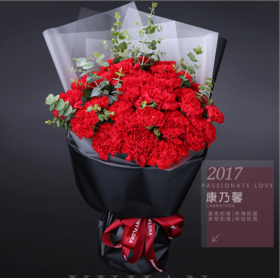 祝福-33支康乃馨花束-全国鲜花速递同城鲜花店配送生日花北京上海杭州广州深圳订花送花