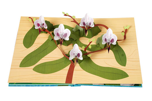 纸上生花，高端文艺礼品书，乐乐趣绘本立体书-花·愿　适度年龄：3＋　原价：198元 商品图6