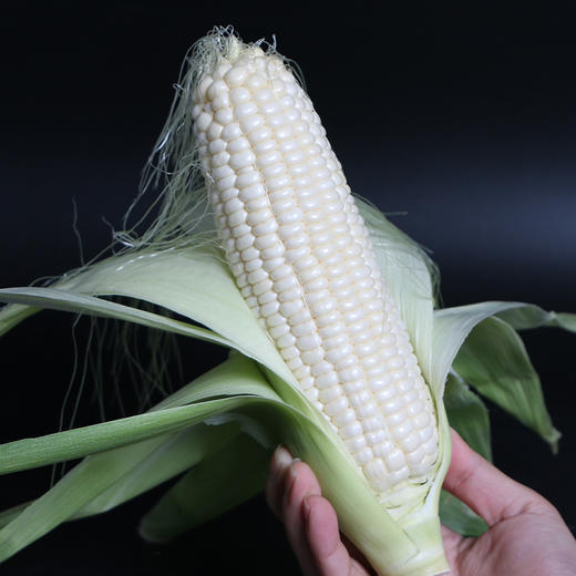 微玉冰糖玉水果玉米6根礼盒装 京东包邮