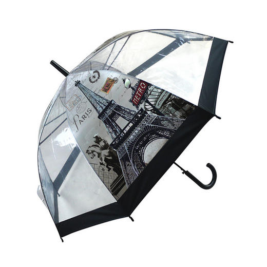 【雨伞】。阿波罗伞POE环保雨伞透明雨伞直杆长柄自动伞个性创意鸟笼伞 商品图0