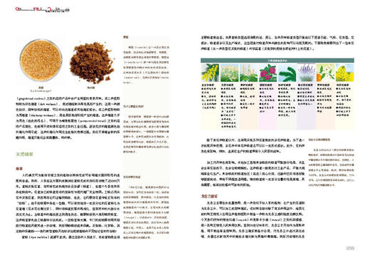 法国蓝带烘焙宝典（上册）（下册）套装 中国轻工业出版社图书  商品图4