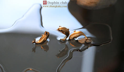 具有疗愈能力的，海豚俱乐部徽章胸针 商品图3