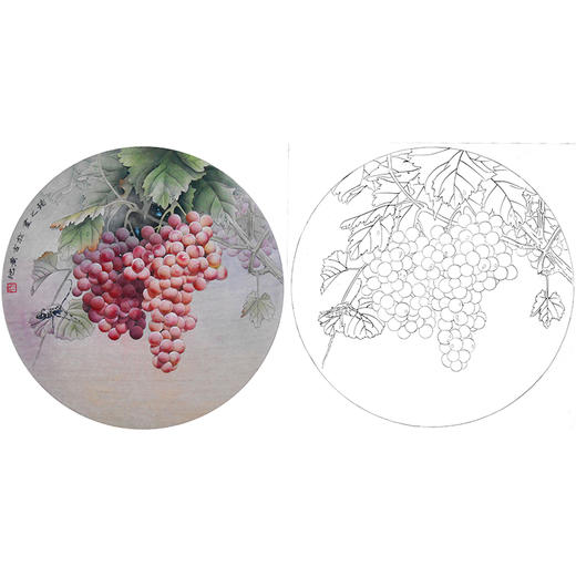 工笔花鸟白描底稿-孙锡之-葡萄小品-SX09 商品图0