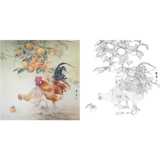 工笔动物白描底稿孙锡之公鸡斗方小品册页sx06